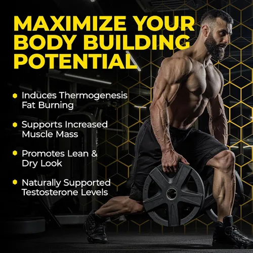 Vista 4 de by Avry Labs – Un suplemento impulsado por hormonas maestras DHEA para el crecimiento muscular, la fuerza, la composición corporal, la energía