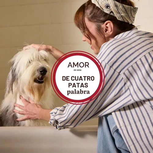 Vista 9 de MRS. MEYER'S Clean Day - Spray desodorizante para gatos, aroma dulce de manzanilla, 8 onzas