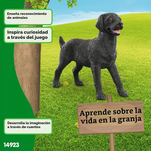 Vista 5 de Schleich Negro Labrador Retriever Mujer 14923