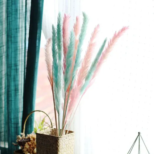 Vista 4 de 60 tallos de 22 pulgadas, flores secas naturales pequeñas de hierba de las pampas, Phragmites Communis, ramo de flores secas para bodas, arreglos