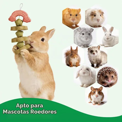 Vista 4 de Paquete de 2 juguetes masticables para conejos, evita el crecimiento excesivo de dientes, juguetes masticables para conejillo de indias/hámster Verde