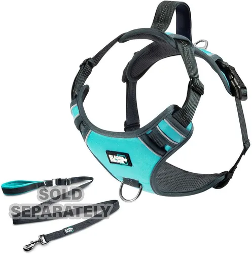 Vista 7 de Black Rhino - Arnés cómodo para perro con chaleco acolchado de malla para razas pequeñas y grandes Ajustable Reflectante 2 accesorios