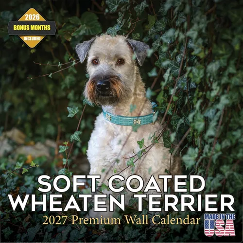 Vista 146 de Calendario de Lebrel Afgano 2025 2026, calendario mensual de pared de raza canina, 12" x 18" abierto, papel grueso sin traspaso, ideal para regalo