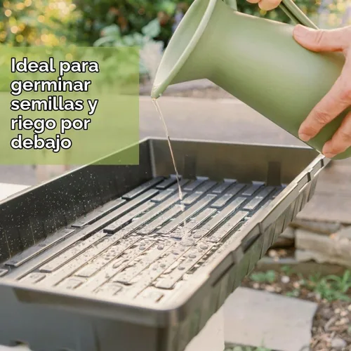Vista 6 de Bootstrap Farmer 1020 – Charolas extra fuertes para plantar semillas, propagación, germinación, sin hoyos, sistema de forraje, 5, Negro
