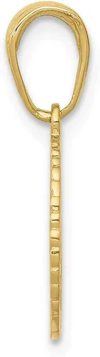 Vista 2 de Colgante de oro amarillo macizo de 10 quilates con estrella de David judío y chi en círculo