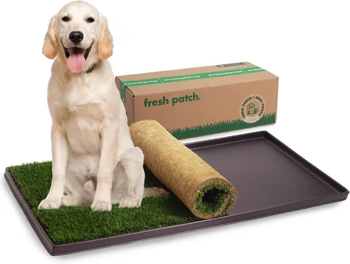 Vista 9 de Fresh Patch Mini parche de césped real para perros, gatos y mascotas pequeñas de menos de 8 libras, almohadillas desechables para orinar