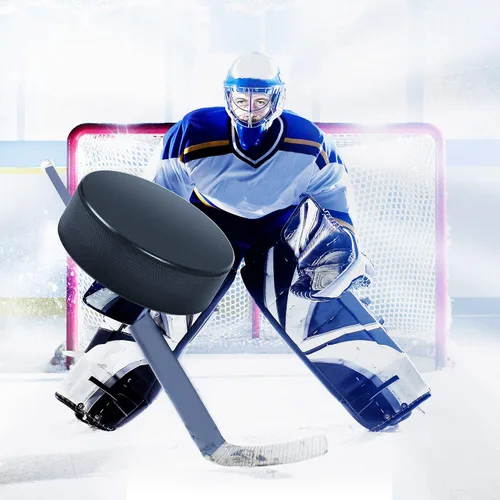 Vista 5 de AceFox Ice Hockey Pucks (1/4/6/25 Pcs Options)