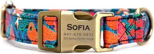Vista 29 de Collar de perro personalizado con nombre y número de teléfono grabado, collar ajustable personalizado para cachorros, collar de algodón orgánico