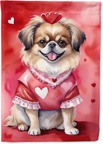 Vista 20 de Caroline's Treasures DAC5252GF Affenpinscher - Bandera de jardín con texto en inglés "My Valentine", bandera decorativa para patio exterior, patio