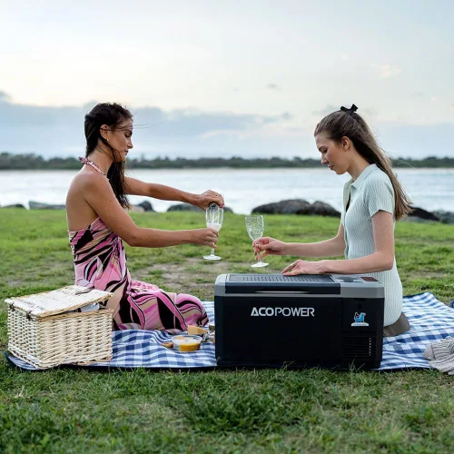 Vista 7 de ACOPOWER LiON Mini Refrigerador Congelador para Automóvil 19 Cuartos, Batería No Incluida