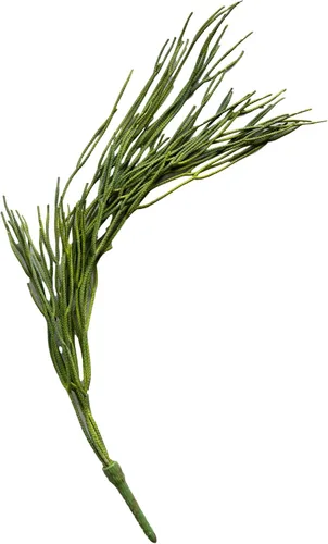 Vista 3 de Ebros Gift Paquete de 6 plantas suculentas largas y realistas con tallos de hojas suaves y realistas de 26 pulgadas de largo, plantas suculentas