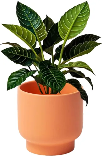 Vista 10 de LB 4.3 Inch Pink Ceramic Flower Plant Pot, Small Succulent Planters Rosa