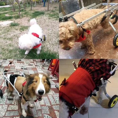 Vista 2 de Dog Wheelchair Metal Dog Wheelchair for Back Legs, Adjustable Light Weight Dog Cart, Pet/Doggie Walking Aid for Disabled Hind Legs, Rehabilitation