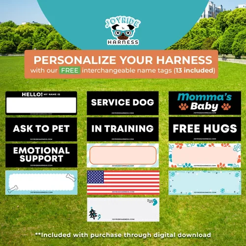 Vista 4 de Joyride Harness Chaleco de malla de verano – Arnés para perro 2.0 sin tirones – Chaleco ajustable y transpirable – Etiqueta de nombre personalizada