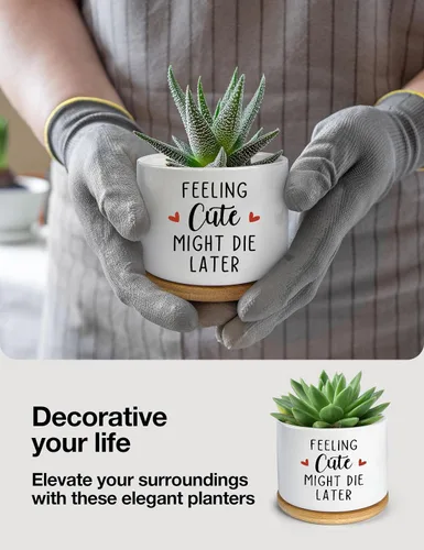 Vista 3 de Feeling Cute Might Die Later - Maceta de cerámica grabada para suculentas, aloe y cactus, divertidas macetas de interior con bandeja de bambú
