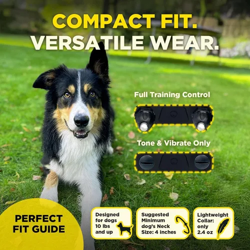 Vista 4 de Dogtra 200iQ Collar E de entrenamiento remoto – 100 niveles, tono, vibración, rango de 1/2 milla – Compacto, impermeable, control con una sola mano