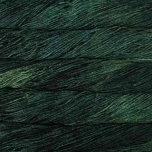 Vista 8 de Malabrigo Dos Tierras Hilo Teñido a Mano (005 - Aniversario)