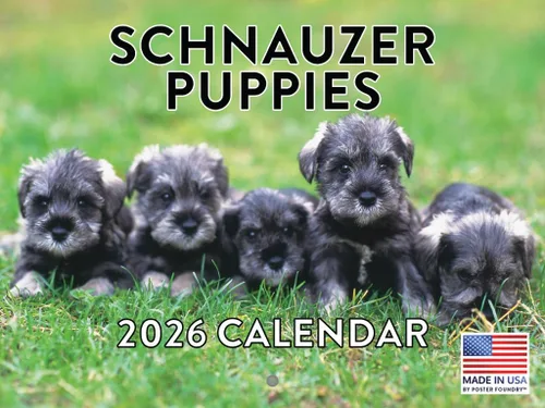 Vista 37 de Calendario mensual de pared Airedale Terrier Dog 2027 rojo (Airedale Terrier)