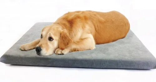 Vista 8 de Lujosa cama para perros de espuma viscoelástica con almohadilla sólida y funda interior impermeable y fundas externas para perros pequeños y Beige