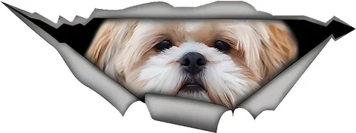 Vista 6 de 13 cm para Shih Tzu 3D Adhesivo para Coche Pegatina Divertida de Perro Mascota Adhesivo Creativo de Metal Desgarrado Adhesivos Modificados
