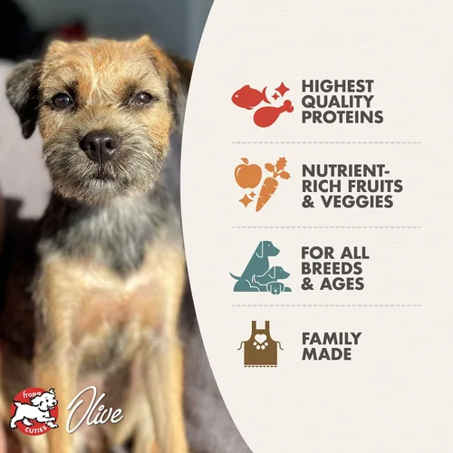 Vista 3 de Fromm Four-Star Nutritionals Surf & Turf - Alimento seco prémium para perros - Receta de salmón - 26 libras
