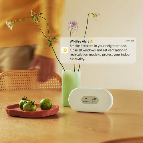 Vista 11 de Airthings 2960 View Plus - Monitor de calidad del aire y radón alimentado por batería (PM, CO2, VOC, humedad, temperatura, presión)