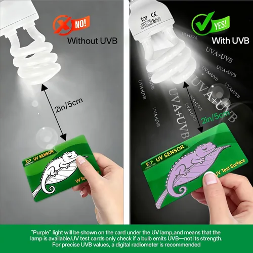 Vista 5 de Bombilla UVB de reptil 5.0 15W, base compacta de luz fluorescente