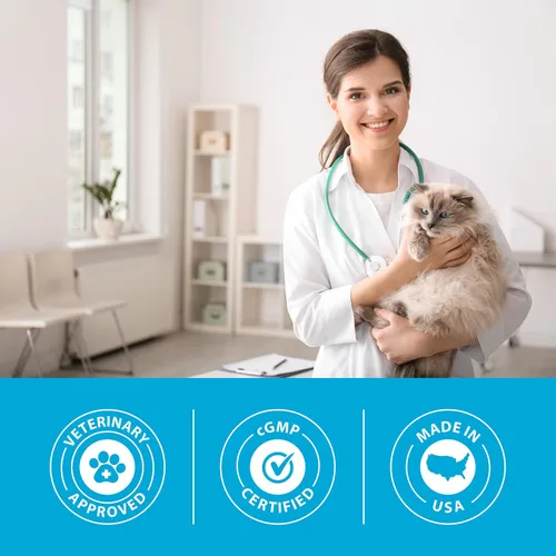 Vista 7 de PRN Pharmacal Duralactin Feline L-Lysine Pasta para gatos y gatitos – Apoya la salud de las articulaciones felinas, respiratoria y ocular – Pasta