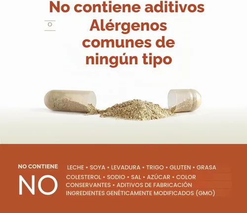 Vista 4 de ANDREW LESSMAN ProCaps Energy & Fat Metabolism Factors 360 Cápsulas