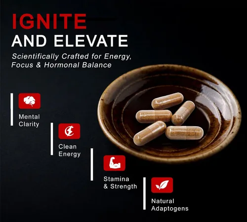 Vista 6 de DLNIA Shilajit 8 en 1 para hombres y mujeres con suplemento orgánico del Himalaya Ashwaganda con Rhodiola Rosea, ginseng, cúrcuma, hongos