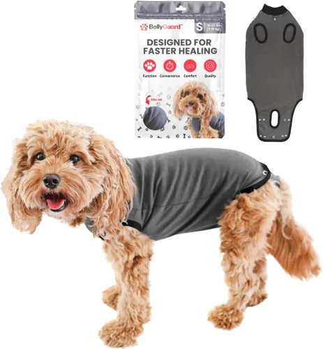 Vista 24 de Traje de Recuperación Quirúrgica BellyGuard para Perros, Mameluco para Perros para Cuidado Post-Operatorio, Ropa de Recuperación para Perros Hembra