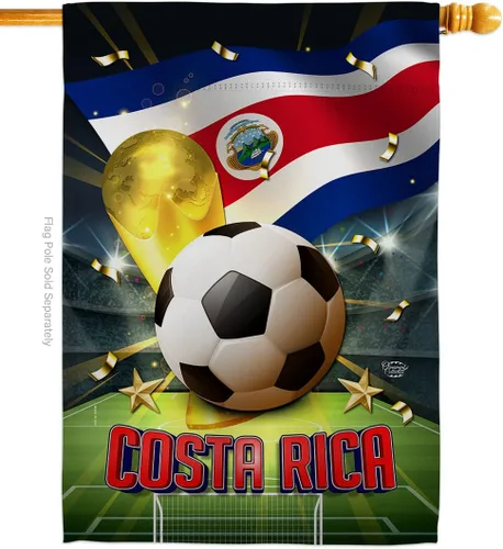 Vista 65 de Bandera del equipo de la Copa Mundial de la FIFA 2022 con bandera de Argentina para decoración del hogar al aire libre, arte de pared