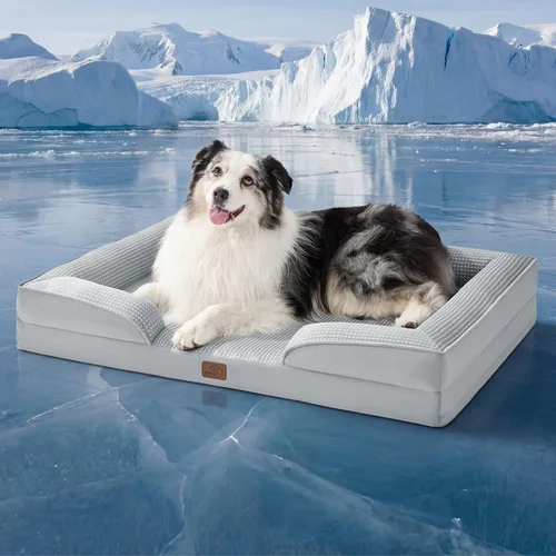 Vista 11 de Bedsure - Cama para gatos de interior, sofá cama lavable para perros muy pequeños, espuma de soporte con funda extraíble y lavable, forro Gris