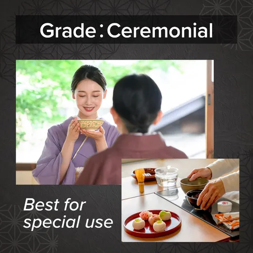 Vista 4 de [Granja Onkatsu] Serie Uji Matcha - Grado premium y ceremonial - Té japonés hecho en Japón - Etiqueta inglesa (grado ceremonial Uji)
