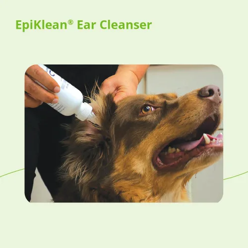 Vista 7 de EpiKlean Limpiador de oídos para perros y gatos, 8 onzas
