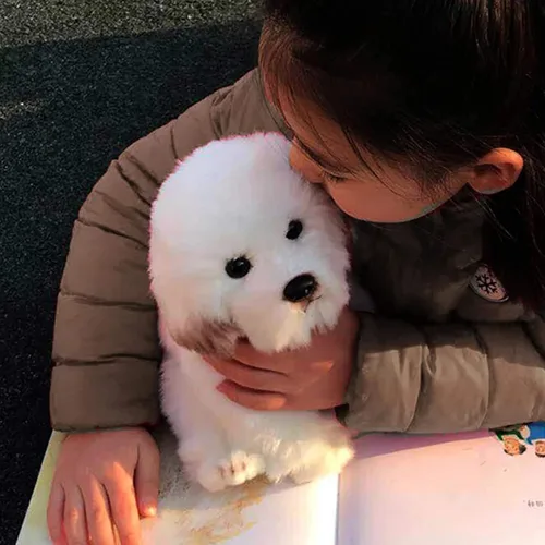 Vista 4 de Perro maltés de peluche realista de 14 pulgadas, juguetes de peluche para cachorros, almohada de felpa suave para cumpleaños para niños y adultos