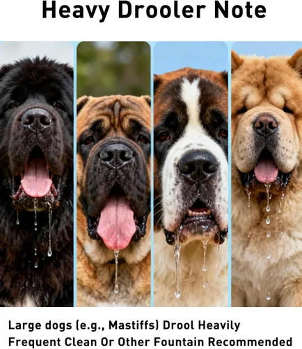 Vista 9 de Fuente de agua para perros de 2.6 galones – Fuente de acero inoxidable de 10 L para mascotas, fuente para gatos, dispensador de tazón para perros