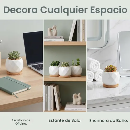 Vista 5 de Jucoan Paquete de 6 macetas de cerámica para suculentas con bandeja de bambú, 4 pulgadas, pequeñas flores de cactus blanco en forma de diamante