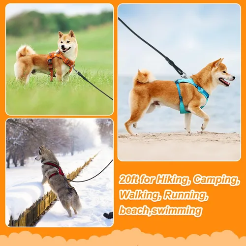 Vista 5 de Vivifying Correa larga flotante para perro, correa de entrenamiento para perros de 20 pies, cable de control con mango cómodo para exteriores, Negro
