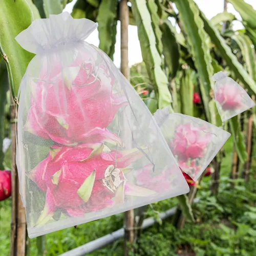 Vista 4 de 50 bolsas de protección de frutas, 6 x 9 pulgadas, bolsas de red de frutas blancas para árboles frutales, bolsa de malla con cordón, bolsas