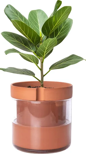 Vista 27 de Phoenix Vine Maceta de riego automático de 4 pulgadas, maceta de arcilla de terracota con depósito de vidrio para plantas de interior, hierbas