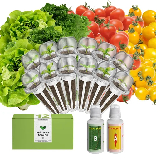 Vista 15 de inbloom Kit de vainas de semillas verdes para ensalada orgánica para AeroGarden, sistema de cultivo hidropónico Ahopegarden, alimento bajo