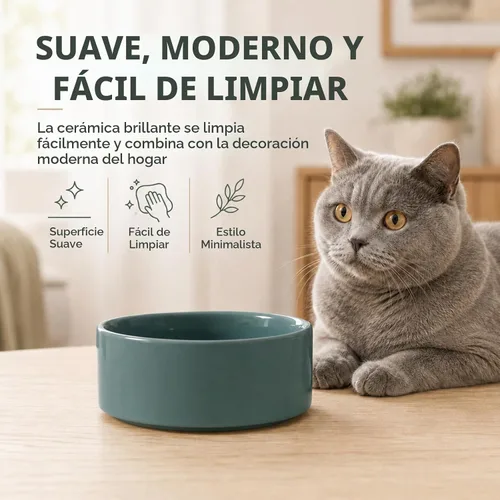 Vista 3 de Havniva Juego de 2 cuencos para gatos de cerámica de 5.1 pulgadas, cuenco