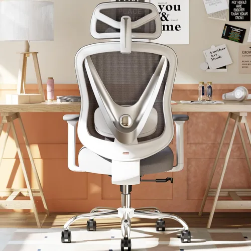 Vista 10 de HOLLUDLE Silla de oficina ergonómica de malla, soporte lumbar ajustable 3D y reposabrazos 3D, respaldo en forma de V, silla de escritorio ajustable