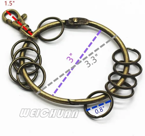 Vista 3 de WEICHUAN Llavero de metal de bronce antiguo, anillo circular grande con 10 anillos pequeños (paquete de 1)