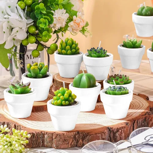 Vista 3 de Shihanee Juego de 36 Piezas a Granel de Velas de Té Decorativas de Cactus Suculentas Hechas a Mano con Mini Soportes de Arcilla de Terracota