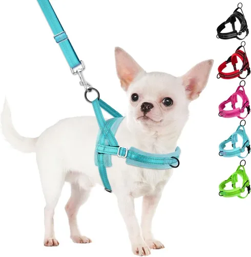 Vista 15 de SlowTon - Juego de arnés y correa para perros pequeños sin tirones, chaleco suave ajustable para cachorros para el cuello y el pecho, arnés