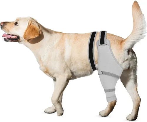 Vista 11 de Funda de pierna trasera para perro para dejar de lamer, protector de pierna trasera para recuperación de TPLO, cirugía de ACL, heridas o problemas
