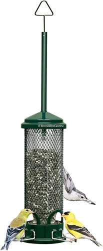Vista 10 de Squirrel Buster Legacy - Comedero para pájaros a prueba de ardillas con 4 perchas de metal, capacidad de semillas de 2.6 libras y Wagner's 62012