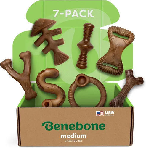 Vista 28 de Benebone - Paquete de 2 juguetes masticables duraderos para perros, diseño Maplestick/Zaggler, tocino real, madera de arce real, fabricados